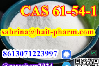 8615355326496 Big Sale Tryptamine CAS 61541